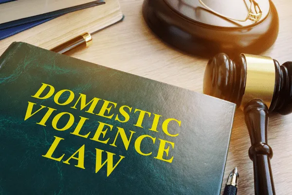 Domestic Violence Law