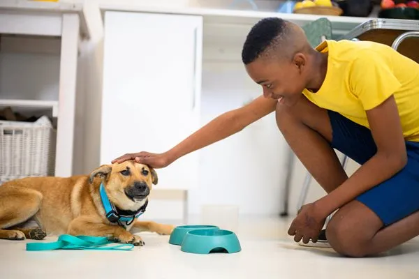 Child petting a dog